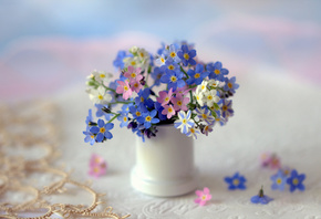 вазочка, цветы, незабудки
