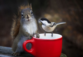 Andre Villeneuve, , , , , , 