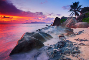 morning, palm trees, La Digue island, Seychelles, sea, the evening, water, rocks, clouds, trees, the bushes, The Indian ocean, beach, excerpt, the sky, stones