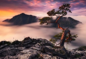 clouds, rocks, Germany, fog, dello, the evening, morning