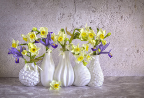 Jacky Parker, вазочки, цветы, нарциссы, подснежники, ирисы, весна
