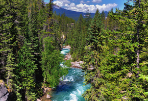 ������ ����, �����, ���, �������