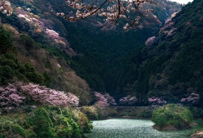 ������, �������, ������, ����, ����, �����, �����, �����