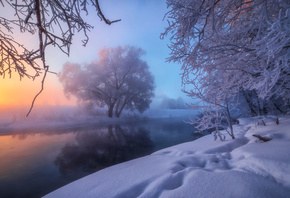 Михаил Дубровинский, природа, зима, снег, река, Истра, деревья, мороз, тума ...