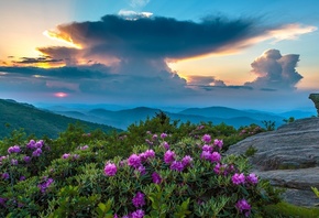 �������, ������, �����, �����, �����, ������������, ����, ������, �������, ����