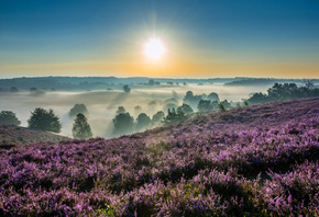 , , ,  , Hoge Veluwe, National Park, ...