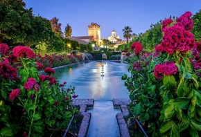 Испания, город, Андалусия, крепость, фонтан, бассейн, вода, цветы, вечер, о ...