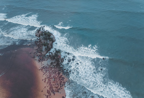 �����, �����, ����