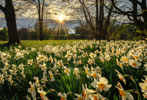 ��������, ����, ���� �����, �������, �����