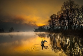 �������, ������, ������, ����, �������, �����, ������, �������