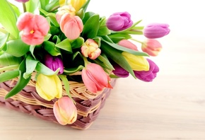 корзинка, цветы, тюльпаны