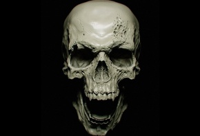 �����, �����, ��������, ���