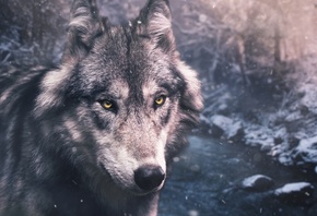 ��������, ������, �����, ������, ����