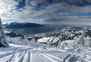Швейцария, панорама, горы, озеро, Женева, снега, зима, ели