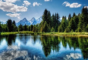 green, reflection, trees, lake, 156, the sky, blue, clouds