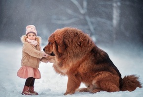 , , , , Anna Melnikova, ,   ...