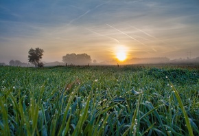 �������, ������, �����, �����, ����, ����, �������, ������