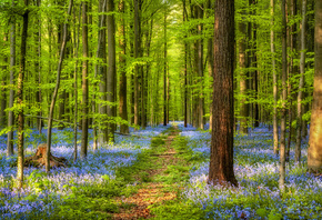 �������, �����, ���, ��, ������������, ��������, ������, ������