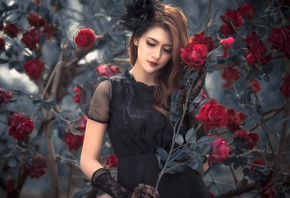 Dinh Nhat Vu, , , , , , , 