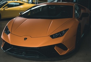 ����������, ��������