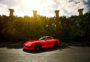 �����, RX7