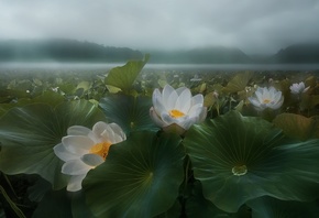 �������, �����, �����, ������, �����, ������, ����, �����