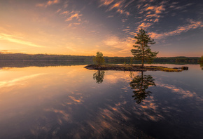 , , , , Ole Henrik Skjelstad, , , 