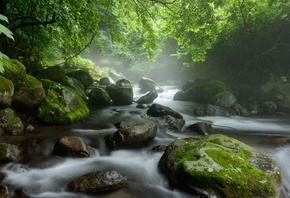 �������, ���, ����, �����, ���, �����