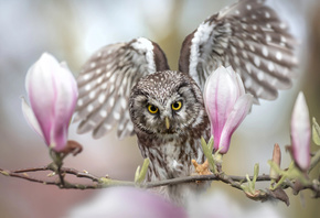  , , , , , , Tanja Brandt, ,  ...