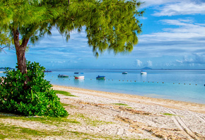 trees, coast, beach, sand, sea, boats, the sun, the sky, horizon, clouds