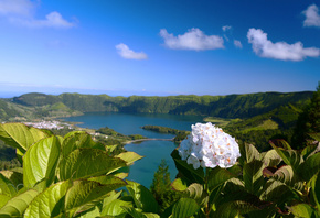природа, пейзаж, Португалия, холмы, озеро, Lagoa das sete cidades, Сети-Сидадиш, растительность, цветы, гортензия