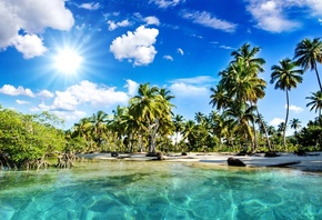 palm trees, nature, beach, sea, the sun, the sky, tropics, clouds