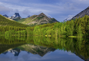 ����, �������, ������