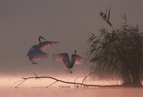 �������, ����, �����, ����� ����, �����, �����, ����, ����, �������