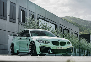 Z-Performance, BMW, M2