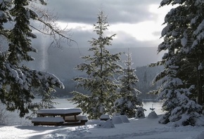 природа, зима, снег, пейзаж, леса, ели, деревья, озеро, столик