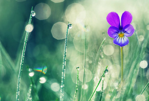 Valentin Valkov, , , , , , , , ,  ...