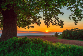 Valentin Valkov, �������, ������, ����, ����, �����, �����, ������, �����