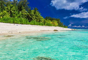 ����, ����, ������, ������