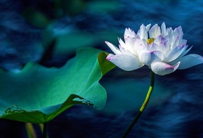 ������, �����, ����, �����, �������, ����