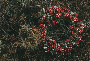 �������, �����