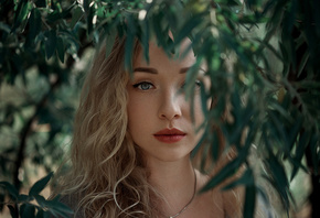 Ann Nevreva, �������, ���������, ����, �����, ������