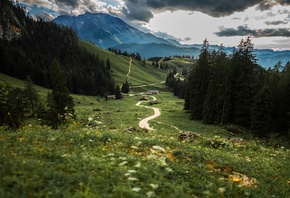 ����, �������, ����, ������, ������, �������