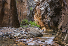 Virgin, RiverZion, National Park, ����, �����, ����, ������