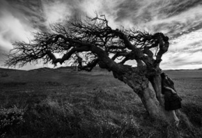 ������, �����, �������, ����