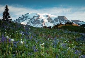 , , , , Mt Rainier National Park, 