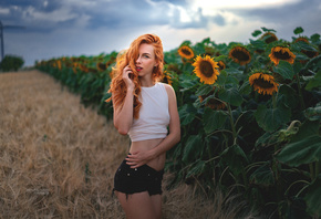 women, sunflowers, redhead, belly, jean shorts, red lipstick, portrait, wom ...