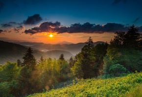 ���, �������� ��������, ����, �������, ������, �������, ����, ������, ����