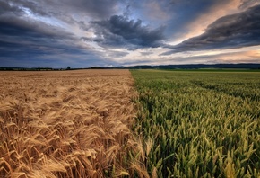 �������, ����, �������, ����