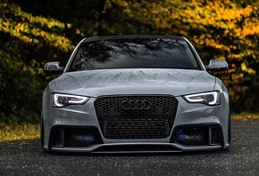 ����, ��������